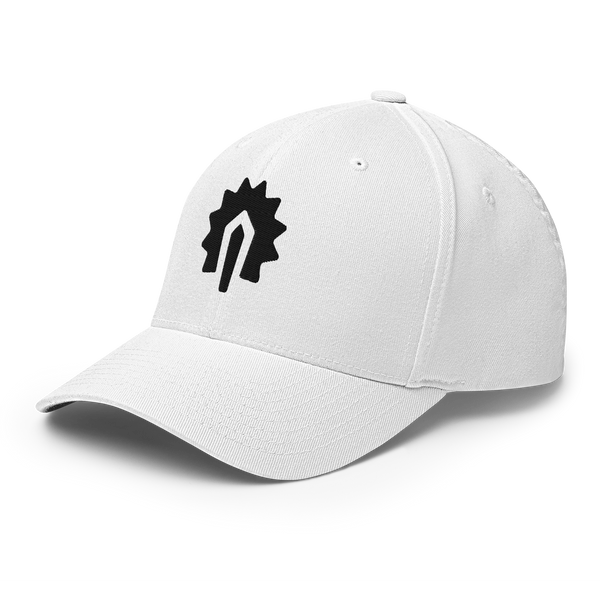 Raider.IO FlexFit Hat - Black Logo